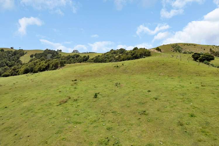 123 Homackey Road Matakohe_12