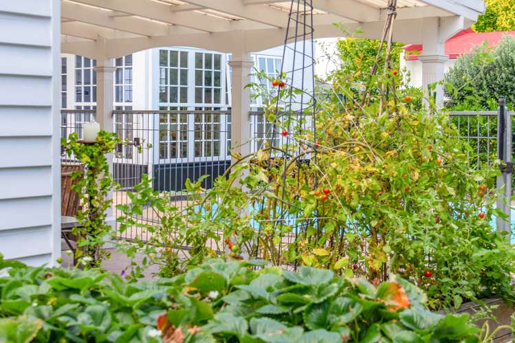 7 Totara Street Masterton_17