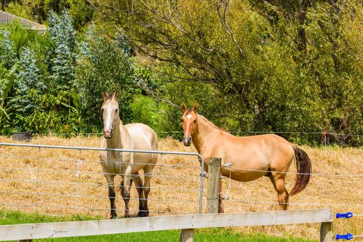 209 Doctors Hill Road Maungaturoto_23