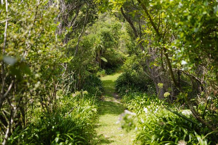 1024 Takatu Road Matakana_26