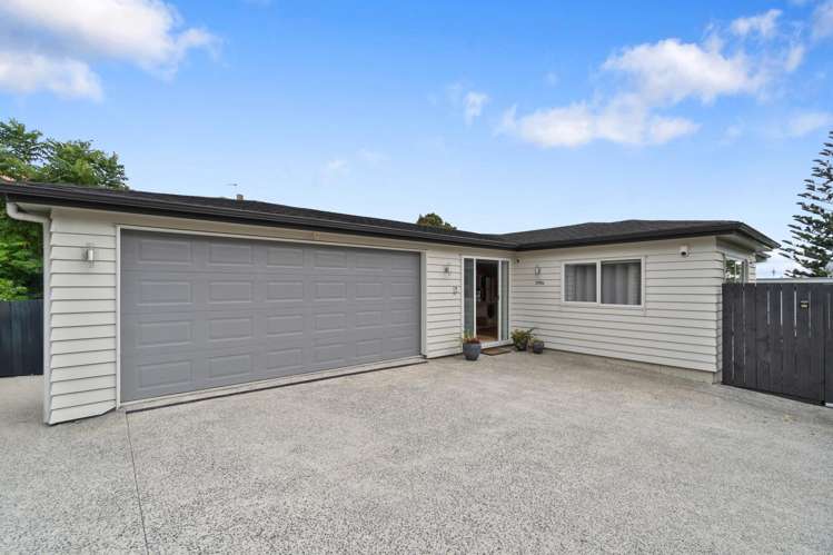298B Mount Albert Road Sandringham_24