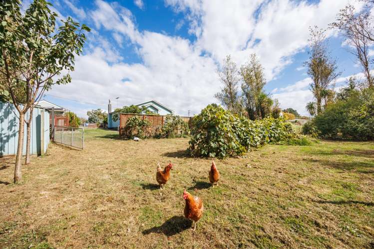 531 Milner Road Glen Oroua_16