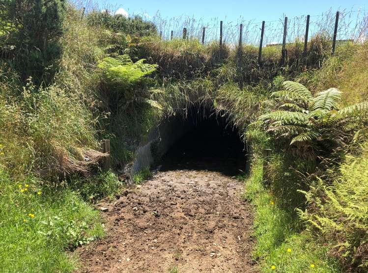 1564 State Highway 31 Kawhia Road Otorohanga_22