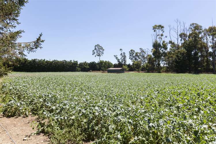 49 Clothiers Road Swannanoa_31