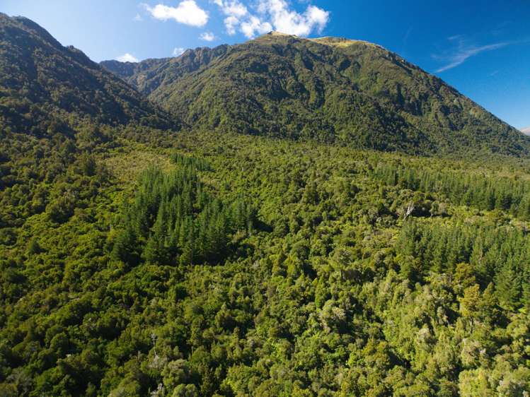 Bell Hill Road Inchbonnie_16