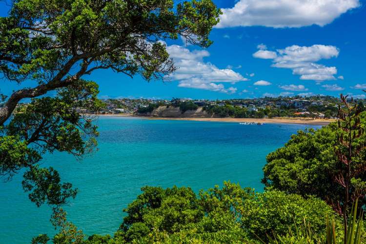 62 Sharon Road Waiake_6