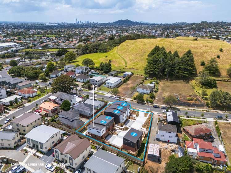 16F Roseman Avenue Mount Roskill_9