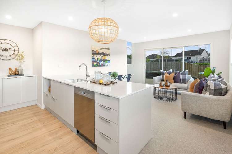 171b Rimu Street Maeroa_1