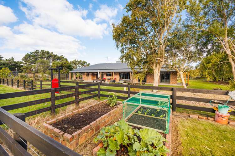 38 Brandon Hall Road Bulls_20