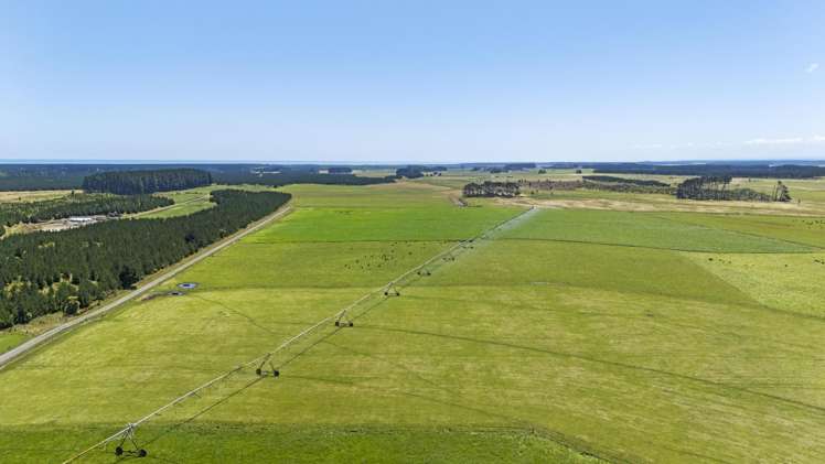 715 Santoft Road Bulls_4