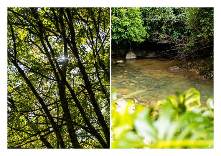 114 Victoria Street Thames_29