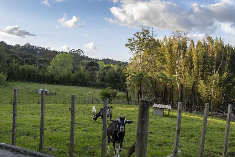 847 West Coast Road Oratia_26