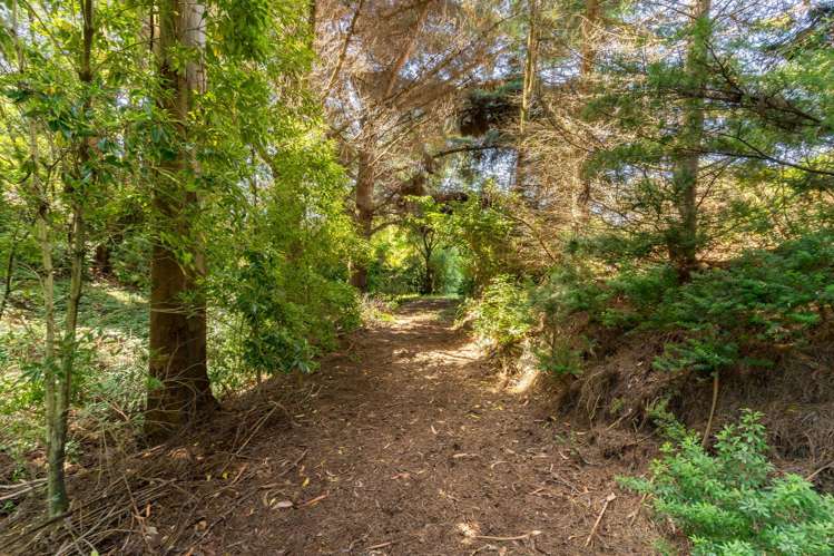 8 Roy Crescent Concord_23