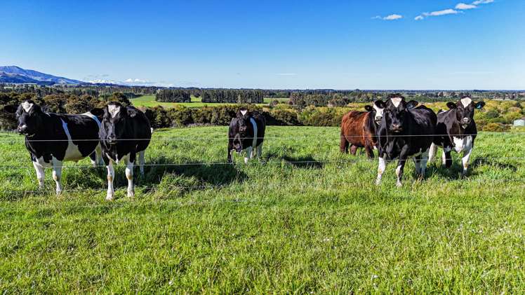 803 Te Moana Road Kakahu_8