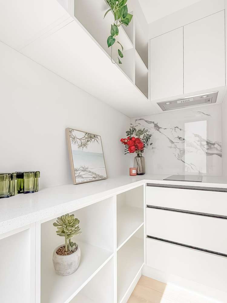 28 Fickling Avenue Hillsborough_22
