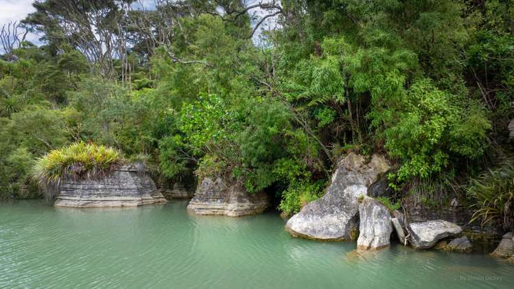 505 Te Akau Wharf Road Te Akau_20