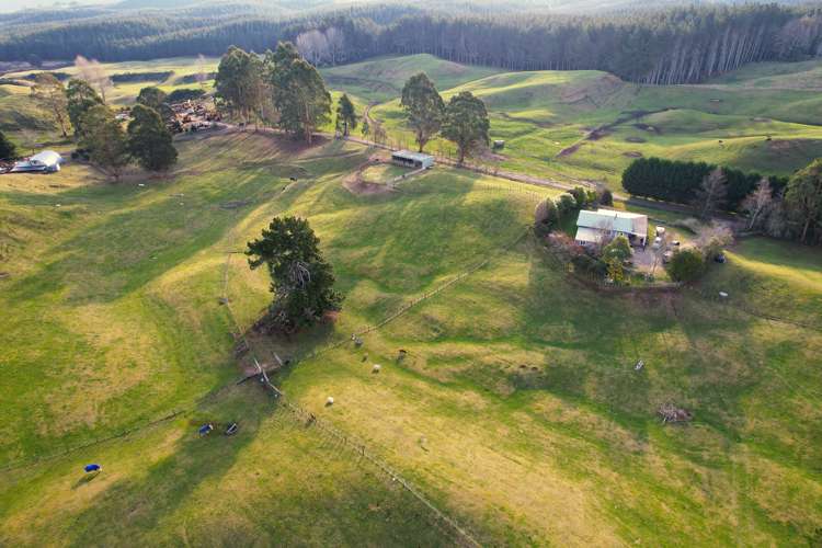 3/1171 Poihipi Road Oruanui_9