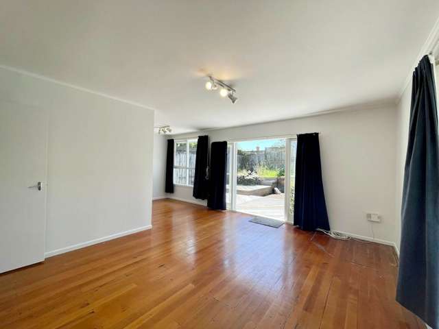 8 Beaconsfield Street Grey Lynn_3