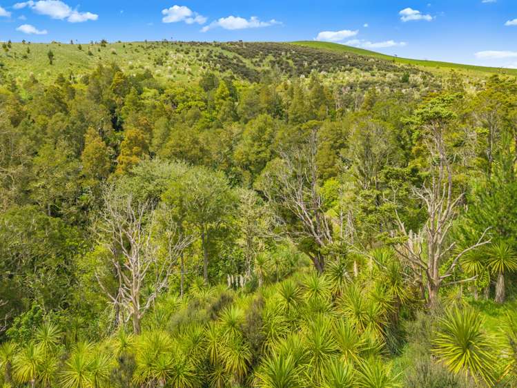 Te Kowhai Road Matakohe_14