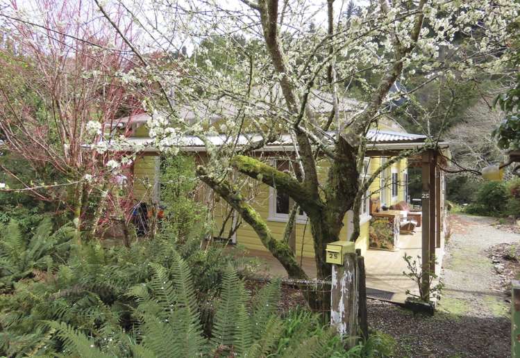 25 Andersen Street Blacks Point_11