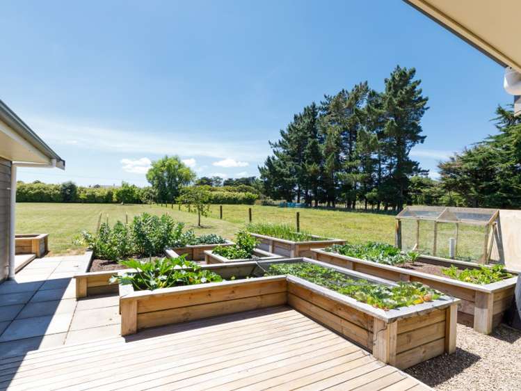 2207 State Highway 3 Sanson_10