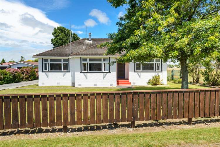 25 Flower Street Bulls_10