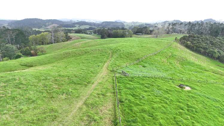 Williamson Road Wellsford_2