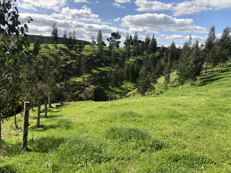 428 Whatauri Road Wharepapa South_12