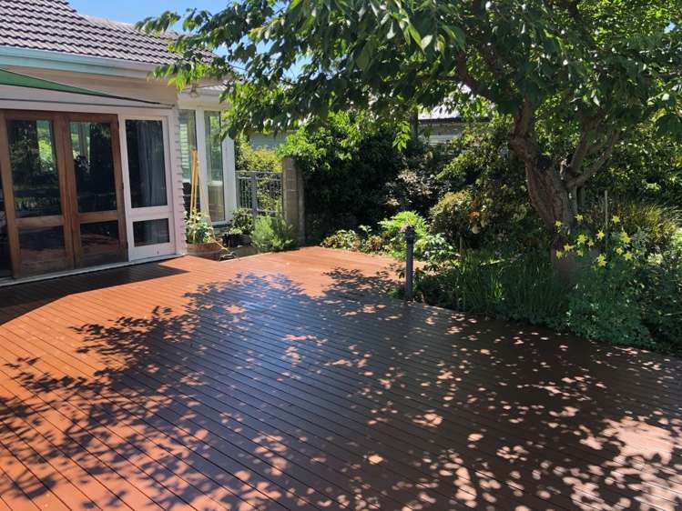 19 Aynsley Terrace Hillsborough_5