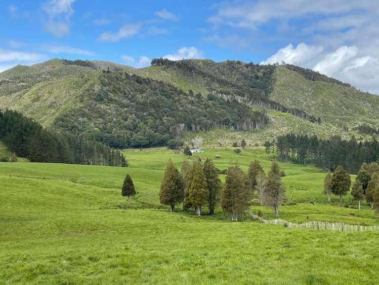 2288 Waihue Road Dargaville Surrounds_19