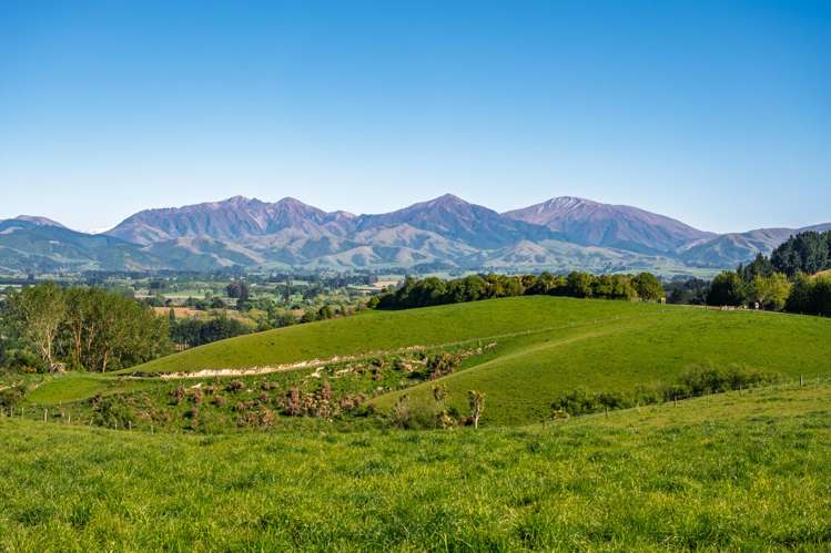 285 Greenvale Road_4