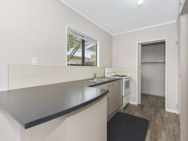 83b Albert Street Hamilton East_1