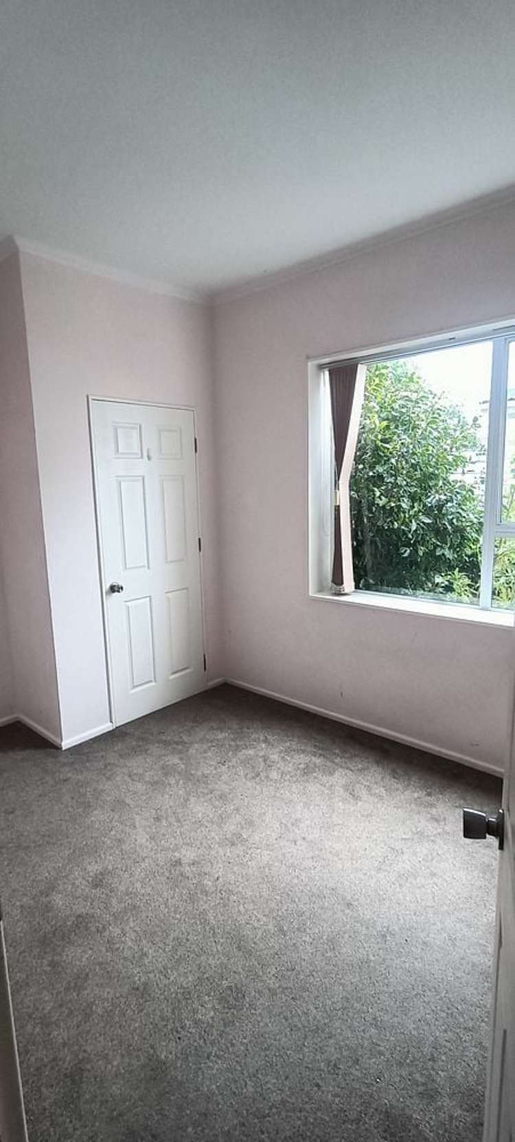 92 Homebush Road Khandallah_7
