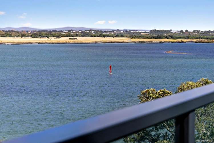 44a Aldersgate Road Hillsborough_17