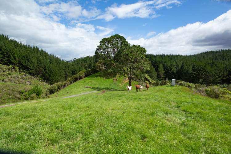 599 Te Puroa Road Ngaruawahia_6