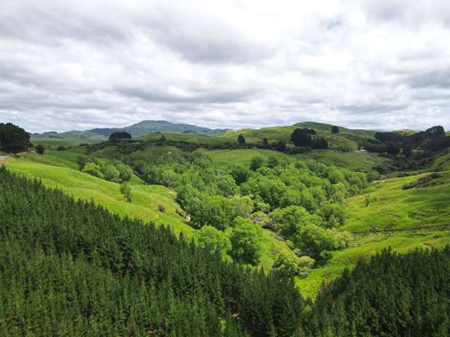 1921 Weber Road Dannevirke_3