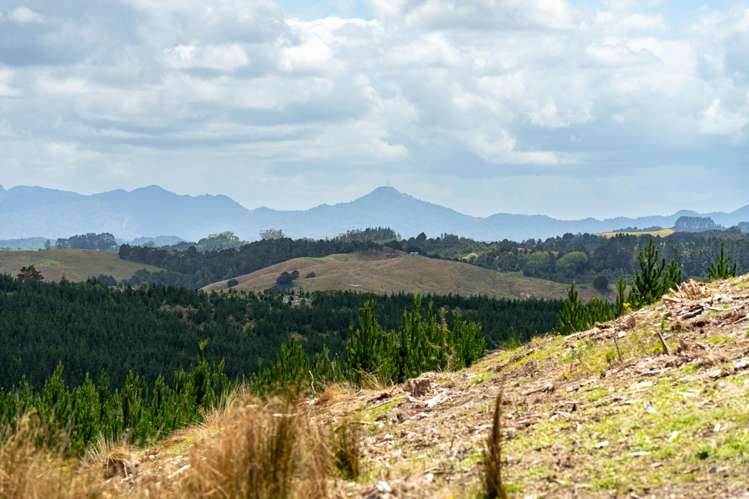 Lot/12 Arcadia Road Paparoa_6