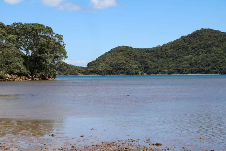 689 Whangaparapara Road Great Barrier Island (Aotea Island)_5