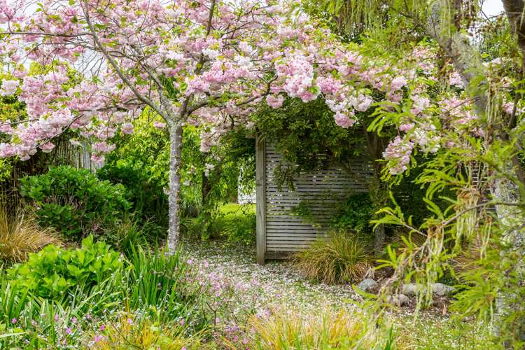 6 Udy Street Greytown_22