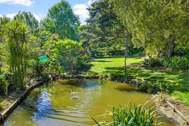 331 Kaipara Flats Road Warkworth_24