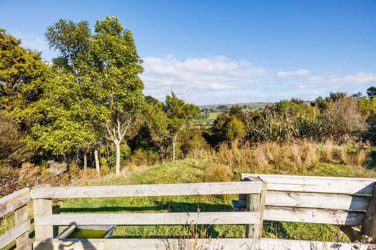 139 Awahou South Road Ashhurst_29