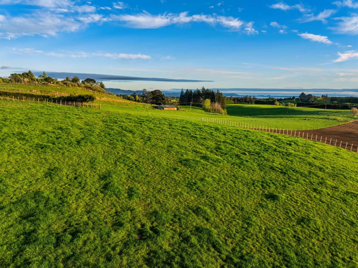 Lot Lot 1 Ross Road_5