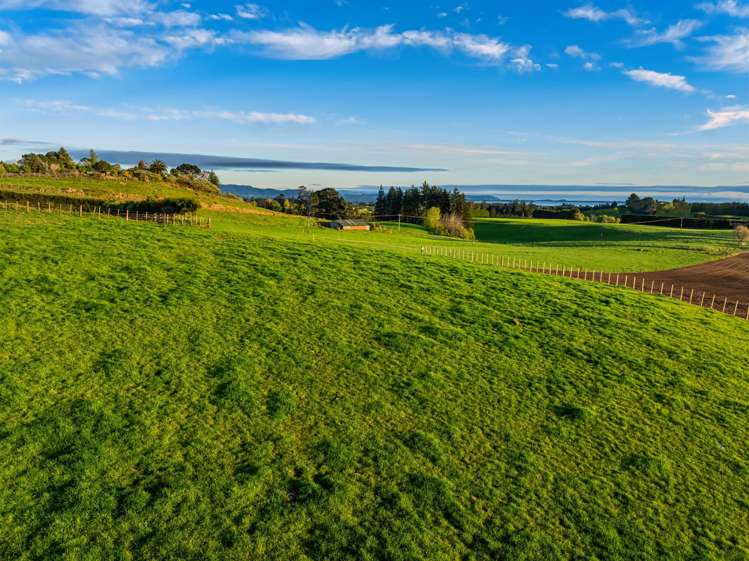 Lot Lot 1 Ross Road Whakamarama_9