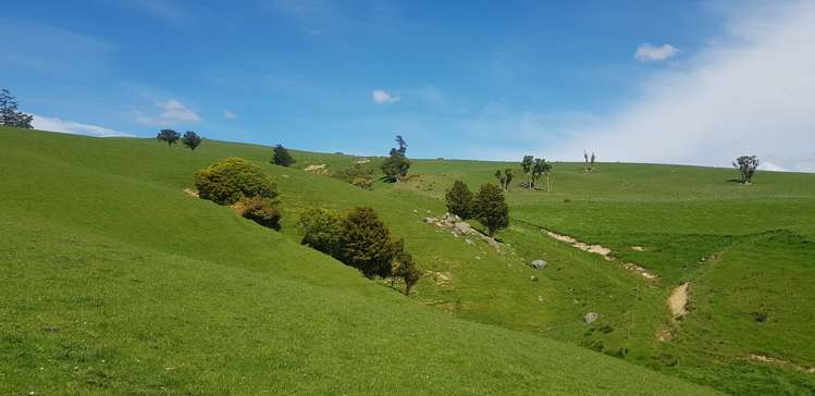 1726 Owaka Highway Kaka Point_14