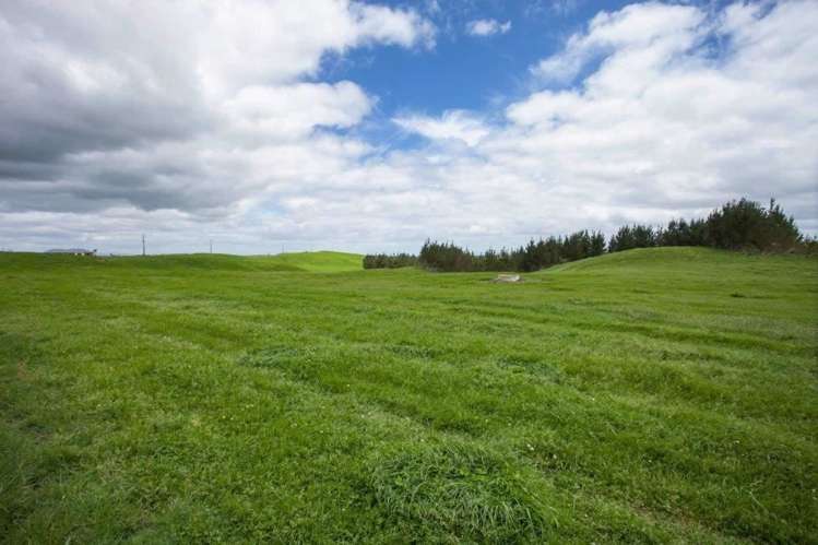 1308 Mossop Road Kinleith_21