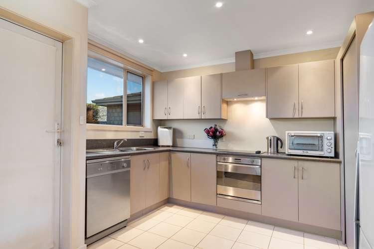 8 De Castro Drive Blenheim Central_11