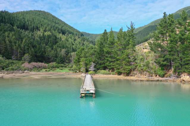 Queen Charlotte Forest, Onapua Bay Marlborough Sounds_3