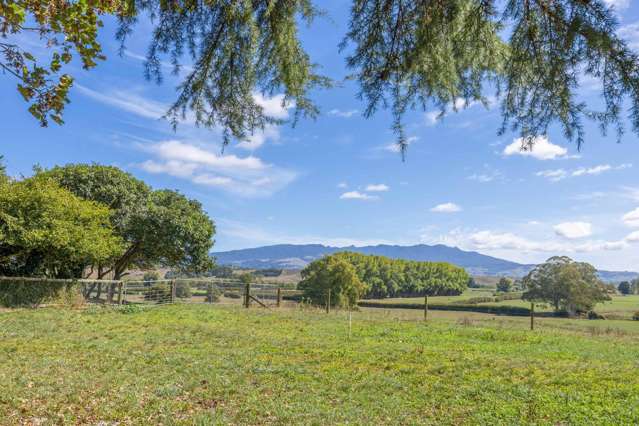 1290 Te Kawa Road Te Awamutu_2