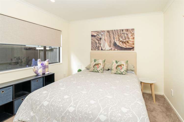 4/432 Tristram Street Whitiora_13