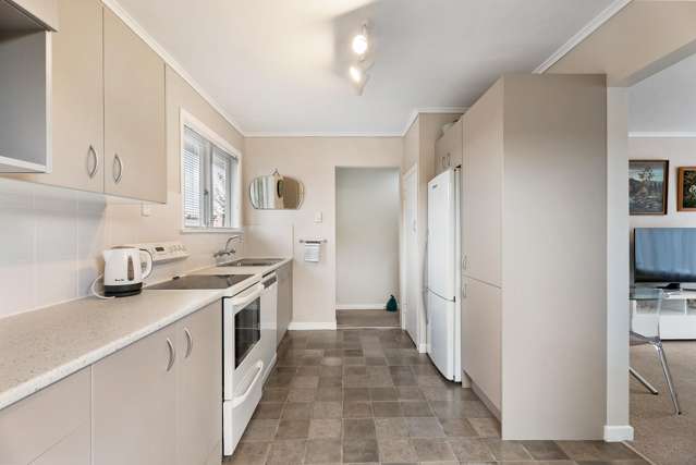 21 Tane Street New Lynn_4